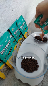 *Borong 36pcs* Premium Wet Cat Food 60g High Protein Complete Nutrition Adult Cats 猫条 猫食 猫零食 Wet Food Treats