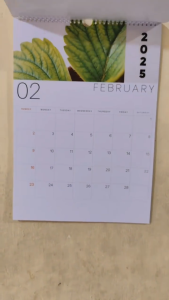 Kalender Dinding Spiral A3 2026 tema Aesthetic unik Full Color Kawat Hanger / Hiasan Kamar