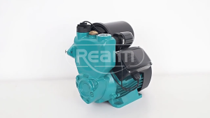 REAIM Pompa Booster Rumah Tangga 250W - Hemat Listrik Tanpa Kebisingan untuk Shower & Keran Tahan Lama untuk Apartemen/Hotel (Bahan Stainless Steel)