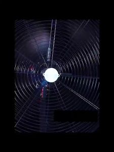 🔥ซื้อ1แถม1🔥มอก พัดลมติดผนัง 35นิ้ว พัดลมตั้งพื้น ลมแรงทนทาน เสียงเงียบ ประหยัดไฟ พัดลมอุตสาหกรรม พัดลม กำลังแรงสูง สไลด์ฐานกลมเหมาะสำหรับสถานที่ขนาดใหญ่ในโรงงานและร้านอาหาร