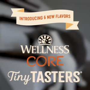 Wellness CORE Tiny Tasters Grain-Free Wet Cat Food - Flaked/Minced/Pate 1.75oz (50g) | 12 Recipes