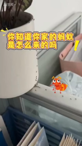 OWSLEY Ubat semut Semburan Penghalau Semut Ramah Alam/Ant Killer Spray Asli tidak toksik dan tidak berbahaya500ML