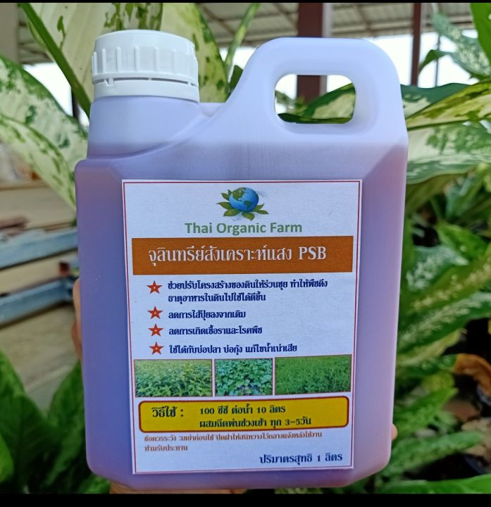 จุลินทรีย์สังเคราะห์แสง Thai Organic Farm ออร์แกนิก
