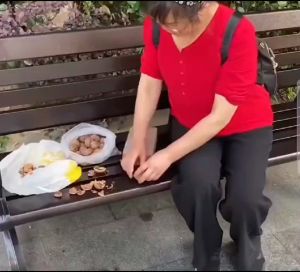 VIRALSHOP88 PEMBUKA KACANG portable nut cracker pemecah kacang pembuka kuaci pembuka kwaci P032