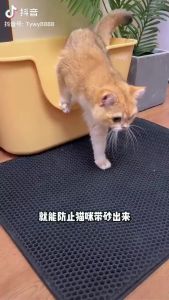 ส่งจากไทย🚀แผ่นดักทรายแมว พรมดักทรายแมว พรมเช็ดเท้า พรม 2 ชั้น Cat Litter Mat กันน้ำ วัสดุ EVA สามารถนำทรายกลับมาใช้ไหม่ได้ มี 5 ขนาด KAPEKANZ