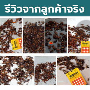 💥ฆ่าแมลงสาบได้ 100%💥ซื้อ ยาฆ่าแมลงสาบ แถม เจลกำจัดแมลงสาบ ไม่มีแมลงสาบใน100ปี ยากำจัดแมลงสาบ ฆ่าแมลงสาบ ใช้งานง่าย เห็นผลเร็ว ปลอดภัยต่อเด็กและสัตว์เลี้ยง ไล่แมลงสาบ กำจัดแมลงสาบ ที่ดักแมลงสาบ แมลงสาบ กำจัด เหยื่อกำจัดแมลงสาบ cockroaches killer