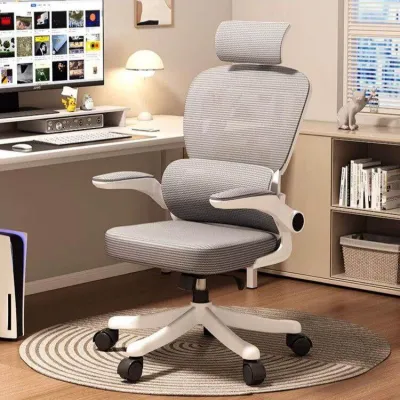 ZHENTAIYUAN | Ergonomic Multifunctional Chair