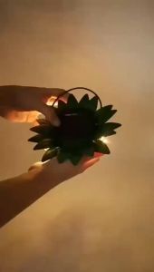 MLADEN Pineapple LED Solar Lights Outdoor Waterproof Hanging Lamp Raya Lampu for Garden Home Park Decor