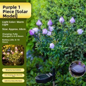 ANQIYUE | Solar Outdoor Waterproof LED Garden Lighting Lamp