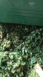 Máy băm cỏ  rau bèo làm thức ăn cho trâu bò  công suất 15 ngựa=11kw