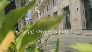 Túi xách nữ công sở thời trang CNT TX41 cao cấp (Kèm ví)