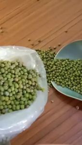 Kacang Hijau 1 Kg Murah Kacang Ijo Kacang Hijau Import Kacang Ijo Mentah Kacang Hijau Super Kacang Tanah 1000 Gr Kacang Hijau Untuk Diet - Lazada