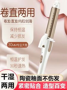 2 in 1 Hair Straightener and Curler Malaysia 2-Pin Plug Ceramic Coating Negative Ion