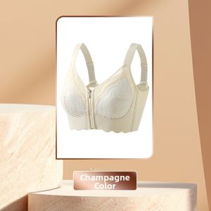 QIANLINGMEI | Back Aesthetics Supportive Push-up Minimizer Bra Front Zip