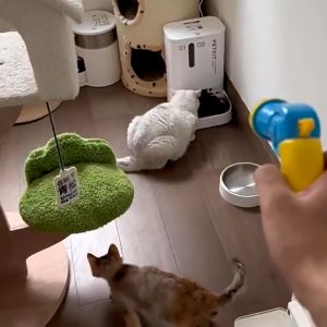 Pet Dog Cat Ball Launcher Toy Gun For Dog Cat Plush Chew Toy Ball Shooter Interactive Toy Balls
