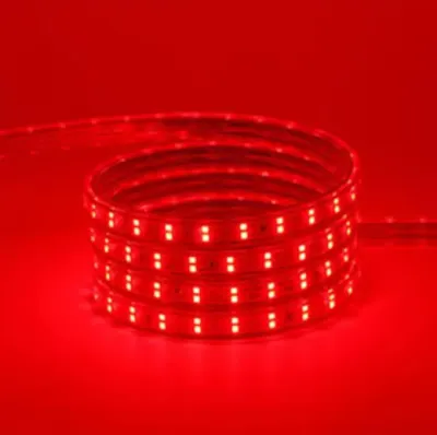 PAKET 20 METER LAMPU LED SELANG SMD 5050 220V 20M 15M 10M 5M METER Sudah Termasuk Soket Tinggal Langsung Pakai Lampu Dekorasi Plafon Lampu Hias Outdoor