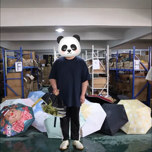 Ô Dù Che Mưa Vải Dù 2 Lớp Màu Chống Tia UV Thấm Nước Ô Gấp Gọn 24 Nan Đóng Mở Tự Động