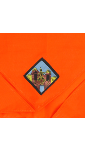 ผ้าพันคอลูกเสือ สำหรับนักเรียน พร้อมตราจังหวัดเขตอีสาณใต้ ในรูปสีอาจเพี้ยนเล็กน้อยแต่ถูกระเบียบ 100%