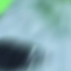 OPPU | High Strength Grade 12.9 Hexagon Nuts