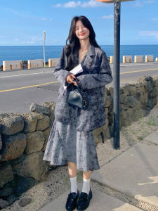 Blue Grey Double Matched Elegance Chenille Dress Set Womens 2025 Autumn New Style Suit Vest Dress Two Piece Set Casual Wear