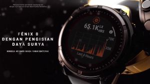 Garmin Fenix 8 Sapphire AMOLED 43mm - Soft Gold/Fog Gray