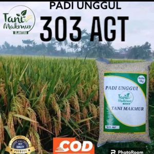 Benih padi AGT 303 kemasan 5kg