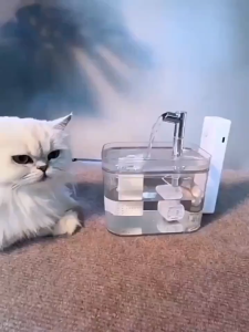 1.5L Cat Water Fountain For 7 Days Water Drinking Dispenser Replaceable Filter Water Fountain For Cat Automatic Drinker