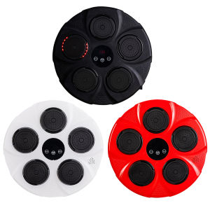 Welcomehome Wall Mounted Musical Boxing Training Punching Equipment with USB Charging Bluetooth-Compatible Intelligent Boxing Target