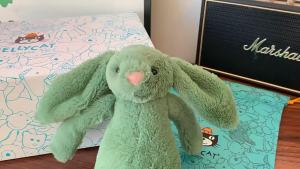 JELLYCAT Christmas New Shy Ivy Bugs Bunny Doll Doll Green Rabbit Plush Gift