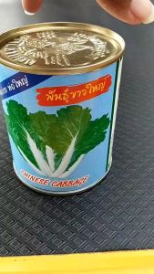 ปลาทอง ผักกาดขาว ขาวใหญ่ หมดอายุ 10/2569 ขนาด 80 กรัม งอกดี กินอร่อย ห่อใหญ่ ต้นและกาบใหญ่ ใบหยิก ปลูกได้ทุกฤดู อายุเก็บเกี่ยว 45 วัน npkplant