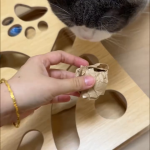 Interactive wooden maze Cat Toy