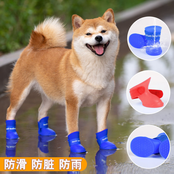 Shiba inu hot sale shoes