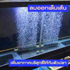 แบบต่อ 3 ทาง ตัวอูปร่าง P&N Oxy Pure เป็นสารแบบต่อ 3 ทาง ตัวอุด Premium