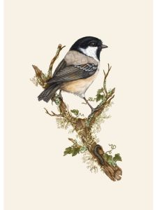 Flower Wall Art Canvas Painting Nordic Posters Prints Pictures for Living Room Decor Vintage Goldfinch Landscape Bird