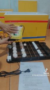 Máy ấp trứng Tuấn Trình và khay đảo tự động cho gà vịt ngan ngỗng chim bồ câu chim cút