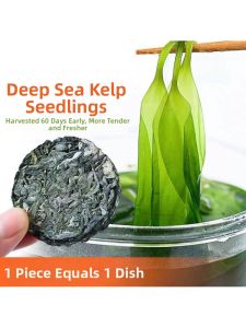 Top-grade Fresh Kelp Seedlings Dried Kelp Flakes Round Cake for Hot Pot