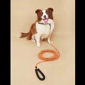 Reflective Long Dog Training Leash 3M 5M 10M 15M 30M 50M Soft Padded Comfortable Handle Pet Walking Lead for Small to Large Dogs