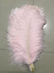 Pastel Pink Ostrich Feather Wedding Table Decorative Props Soft Decoration Material for Store Window Display And Pathway Guide