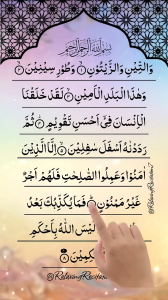 The Holy Quran English and Arabic Translations Audio Recital Edition OEM DVD Version The Holy Koran