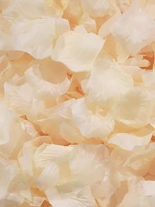 SHI YUE JIE JING(十月结晶) | Disposable Breathable Thin Nursing Pads