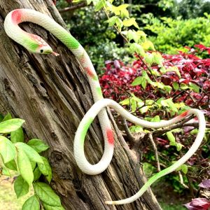 Soft Rubber Simulation Little White Snake Kids Toy Cobra Spoof Scary Plastic Fake Snake Static Reptile Model