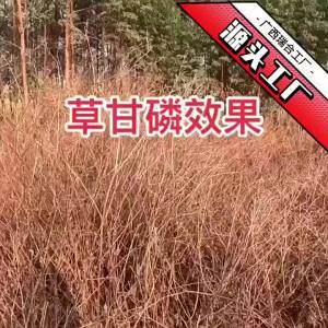 💗🙋♀️💗藤蔓菲滴酸草甘膦20公斤高浓度果园林地荒地杂草烂根剂一扫光