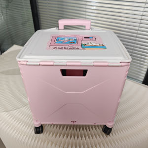 Multi-purpose Trolley