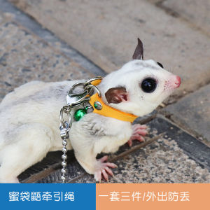 Marsupial Leash Harness Small Pet Outing Circle Anti-Loss Portable Pet Supplies for Chinchillas And Other Small Pets