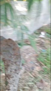 Pisau Babatan Rumput Baja & Gergaji Selendang Berkualitas