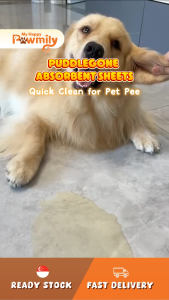 PuddleGone Absorbent Sheets – Quick Clean for Pet Pee & Messes