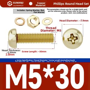 GUWANJI | Cross Recessed Brass Nuts And Screws Set