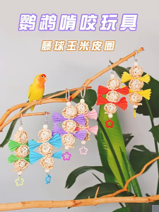 Ready Stock Parrot Chew Toy for Small & Large Birds - Natural Wood Colorful Fabric Hanging Design Suitable for Pet Birds