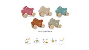 Push Along Bunny - White