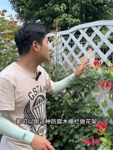 Plant Support Garden Fence Plant Garden Fence For Garden Garden Fence Stand Outdoor Net Balcony Flower Stand Partition Safe and Durable